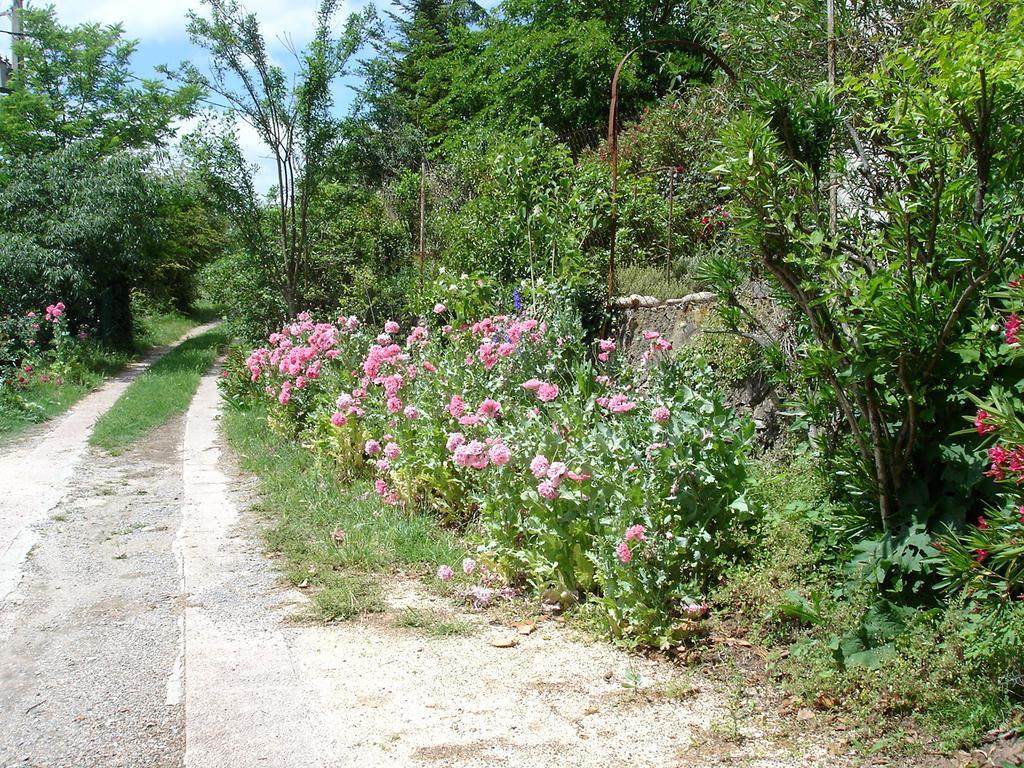 مبيت وإفطار Banne La Colline Bleue المظهر الخارجي الصورة